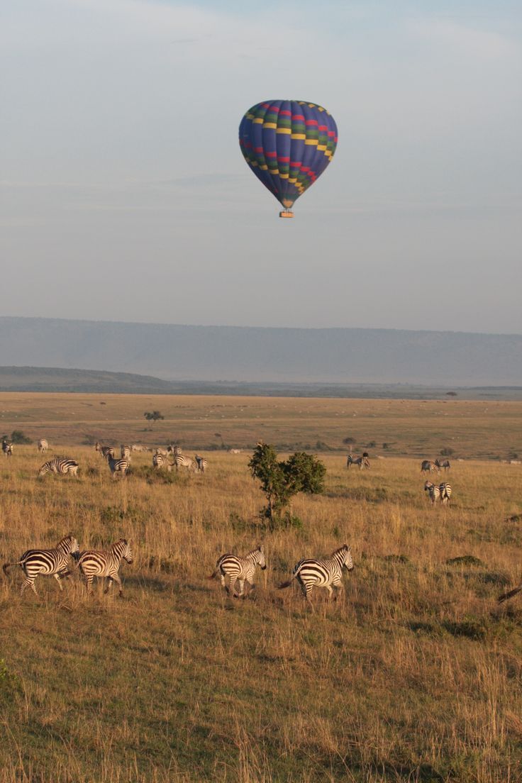 Lake Nakuru, Naivasha &  Masai Mara 4 Days Private Jeep Safari Kenya