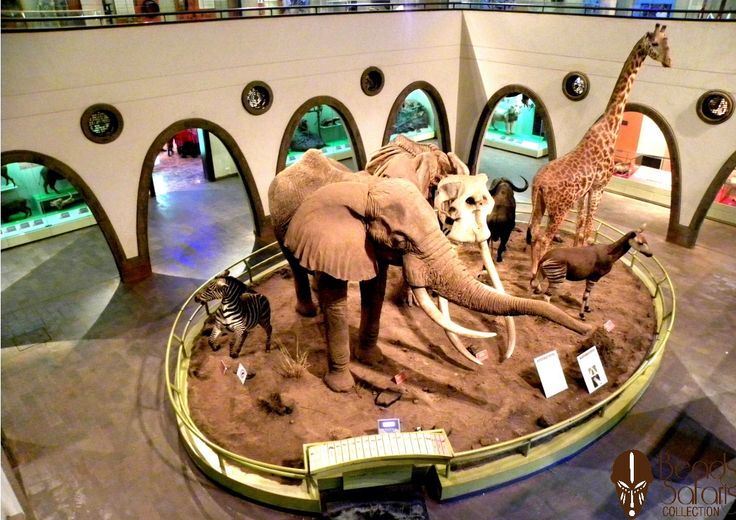 Nairobi Cultural and Historical City Tour with a Local Kenya